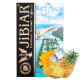ТАБАК JIBIAR MIAMI