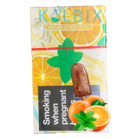 ТАБАК REVOSHI ESKIMO CITRUS MINT